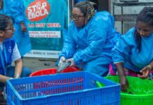 OMS alerta que surto de Ebola no Congo segue em expansão e já registra mais de 500 mortes