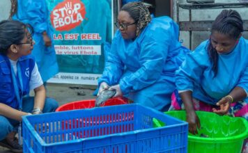 OMS alerta que surto de Ebola no Congo segue em expansão e já registra mais de 500 mortes