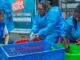 OMS alerta que surto de Ebola no Congo segue em expansão e já registra mais de 500 mortes