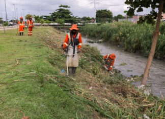 Prefeitura mobiliza 1.250 trabalhadores e intensifica limpeza urbana em 13 frentes durante o verão amazônico