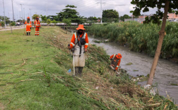 Prefeitura mobiliza 1.250 trabalhadores e intensifica limpeza urbana em 13 frentes durante o verão amazônico
