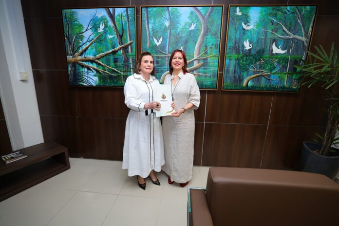 Presidente do TCE-AM e presidente do TRE-AM