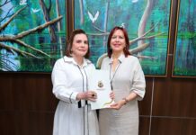 Yara Amazônia Lins entregou ao TRE-AM lista de gestores com contas irregulares