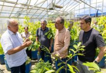 Omar propõe ampliar beneficiamento de produtos da floresta dentro do Amazonas