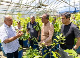 Omar propõe ampliar beneficiamento de produtos da floresta dentro do Amazonas
