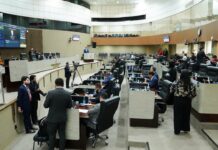 Violência contra a mulher e saúde pública estão entre temas debatidos na CMM