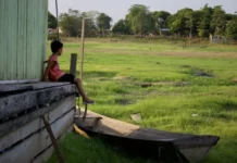 Calor e seca deixa dois municípios do AM em emergência e outros 16 em alerta