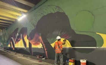 Viaduto Antônio Simões recebe pintura e grafites no Parque 10