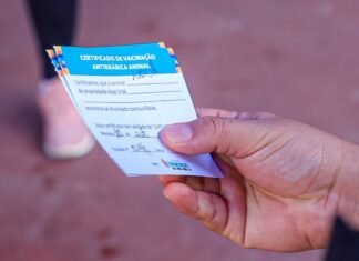 Manaus mantém vacinação gratuita contra raiva para cães e gatos em bairros e postos fixos