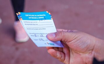 Manaus mantém vacinação gratuita contra raiva para cães e gatos em bairros e postos fixos