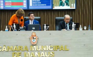 CMM aprova programa de apoio e orientação a mães atípicas em Manaus