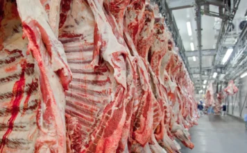 UE suspende entrada de carnes e produtos de origem animal do Brasil