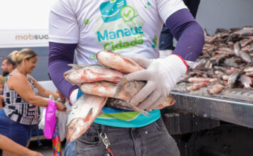 Programa distribui 70 mil peixes para 4,5 mil famílias da zona Leste de Manaus