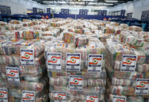 Estiagem já atinge 146 mil famílias e mantém 47 municípios em emergência no Amazonas