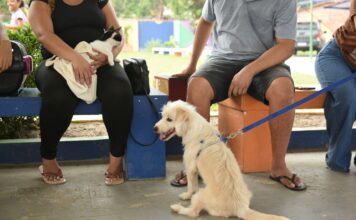 Manaus orienta tutores sobre vacinação antirrábica segura de cães e gatos