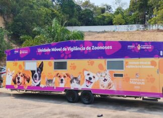 Manaus abre agendamento para castração gratuita de cães e gatos no Castramóvel Caramelo