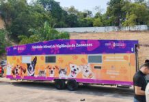 Unidade móvel Caramelo da prefeitura inicia cirurgias de cães e gatos no bairro São José Operário