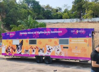 Unidade móvel Caramelo da prefeitura inicia cirurgias de cães e gatos no bairro São José Operário