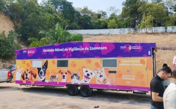 Unidade móvel Caramelo da prefeitura inicia cirurgias de cães e gatos no bairro São José Operário