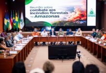Amazonas e Governo Federal alinham ações para combater incêndios florestais