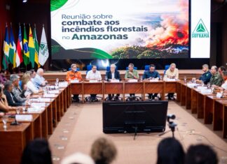Amazonas e Governo Federal alinham ações para combater incêndios florestais