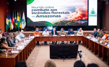 Amazonas e Governo Federal alinham ações para combater incêndios florestais